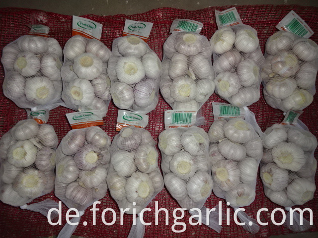 Regular White Garlic